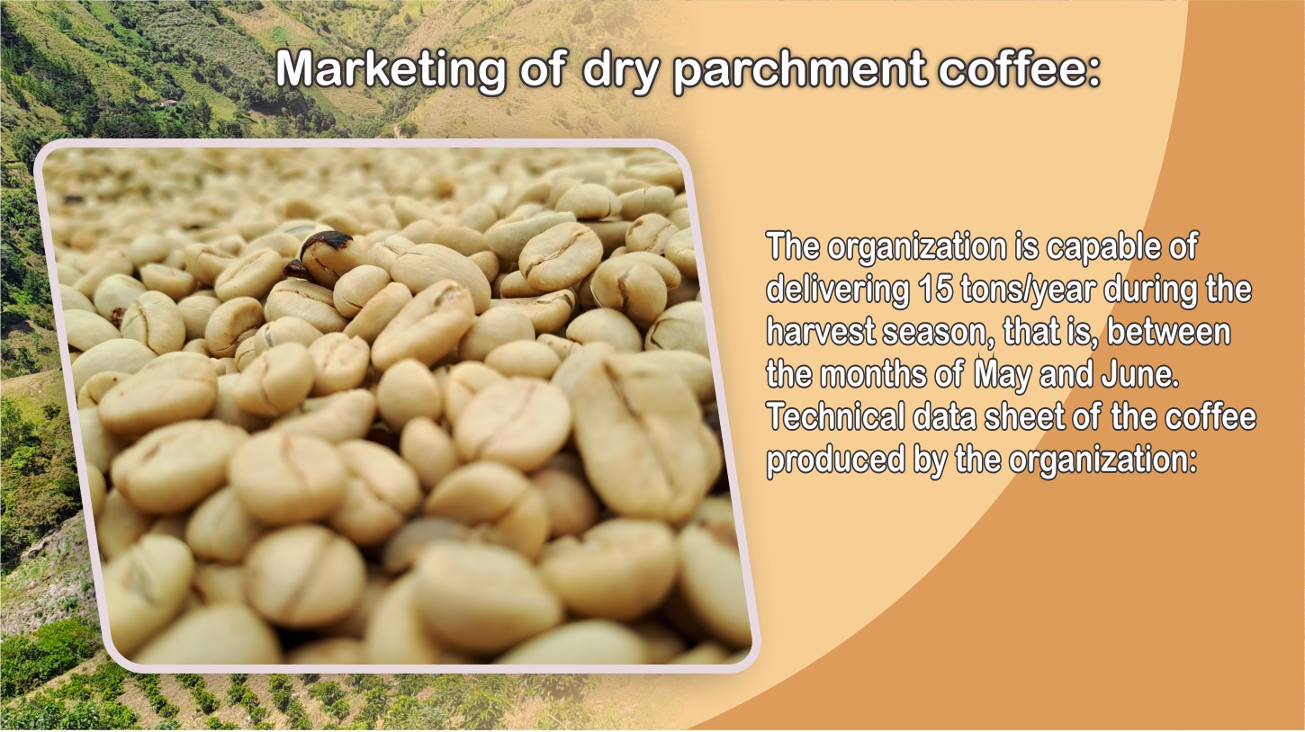 Dry parchment coffee, Colombian Coffee