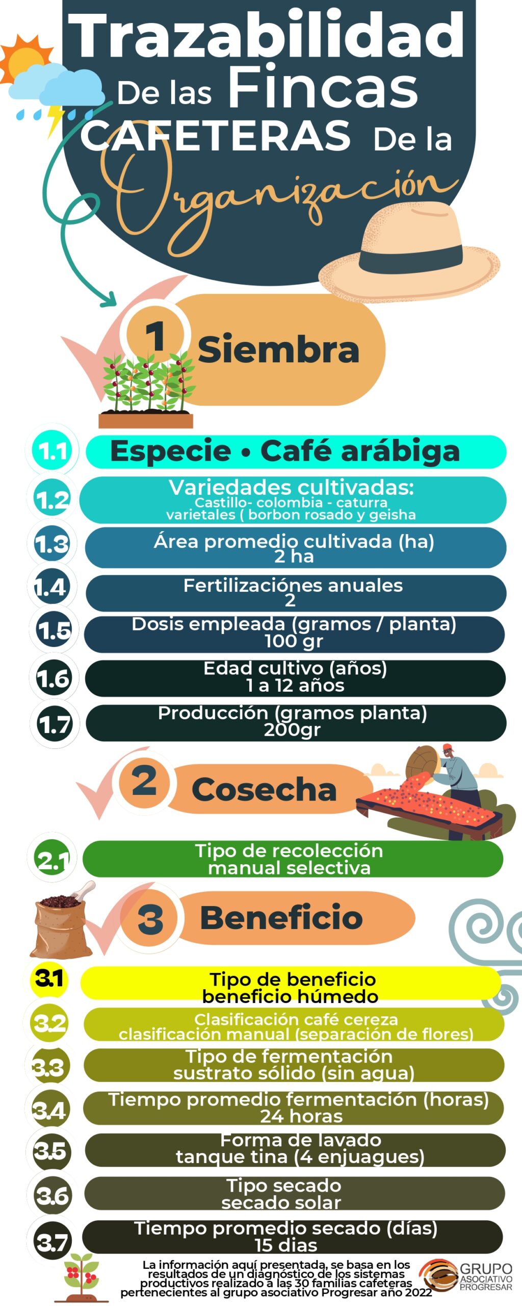 Technical data sheet of the coffee produced by the organization